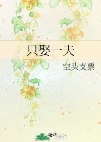 《只娶一夫》