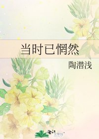 《当时已惘然》