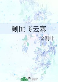 《剿匪飞云寨》