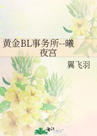 《黄金BL事务所--曦夜宫》