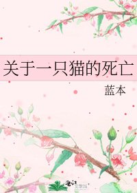 关于一只猫的死亡