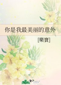 《你是我最美丽的意外》
