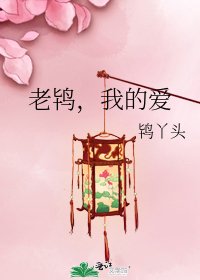 《老鸨,我的爱》