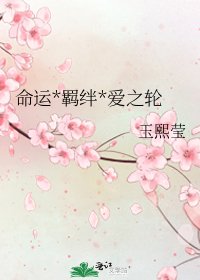 《命运*羁绊*爱之轮》