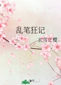 《乱笔狂记》