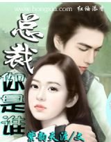 总裁你是谁