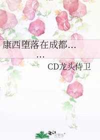《康西堕落在成都......》