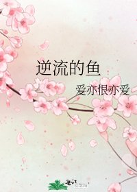 逆流的鱼