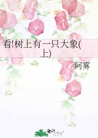 《看!树上有一只大象(上)》