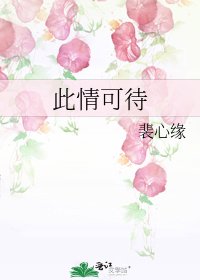 《此情可待》