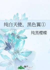 《纯白天使,黑色翼①》