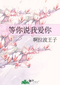 《等你说我爱你》