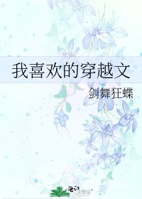 《我喜欢的穿越文》