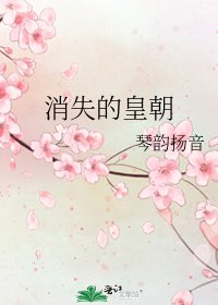 《消失的皇朝》