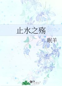 《止水之殇》