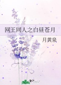 《网王同人之白昼苍月》