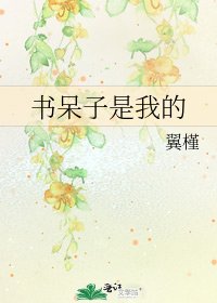 《书呆子是我的》