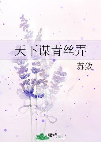 《天下谋青丝弄》