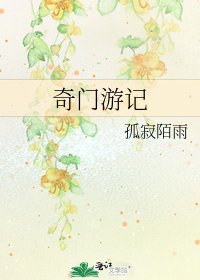 《奇门游记》