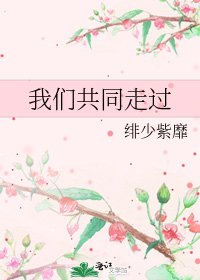 我们共同走过