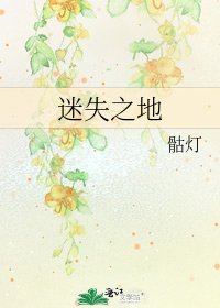 《迷失之地》