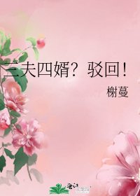 《三夫四婿?驳回!》
