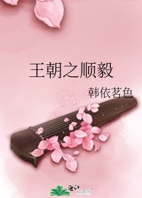 《王朝之顺毅》