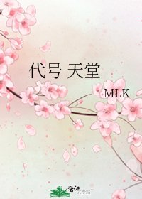 《代号 天堂》