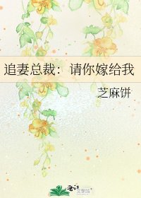 《追妻总裁:请你嫁给我》