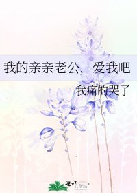 《我的亲亲老公,爱我吧》