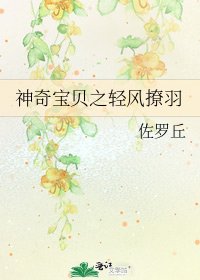 《神奇宝贝之轻风撩羽》