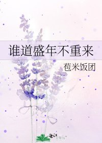 《谁道盛年不重来》