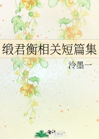 《缎君衡相关短篇集》
