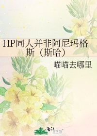 《HP同人并非阿尼玛格斯(斯哈)》