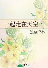 《一起走在天空下》