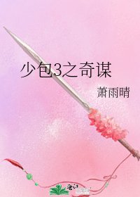 《少包3之奇谋》