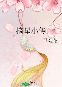 摘星小传