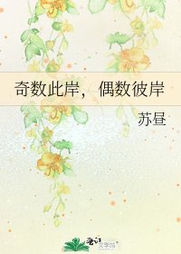 奇数此岸,偶数彼岸