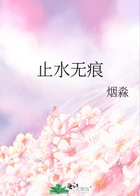 《止水无痕》