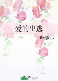 《爱的出逃》