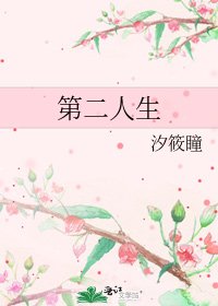 《第二人生》