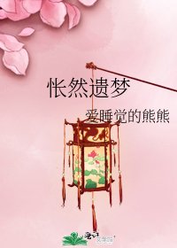 《怅然遗梦》