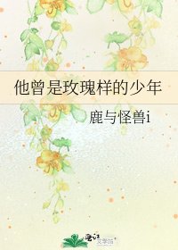 《他曾是玫瑰样的少年》