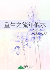 重生之流年似水