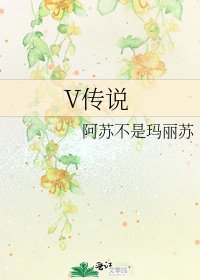 《V传说》