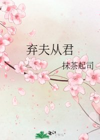 《弃夫从君》