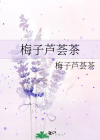 《梅子芦荟茶》