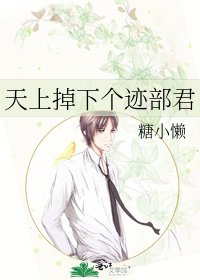 《天上掉下个迹部君》