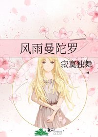 《风雨曼陀罗》