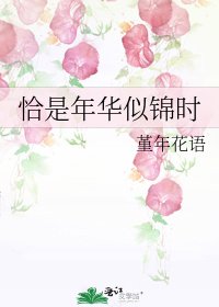 《恰是年华似锦时》